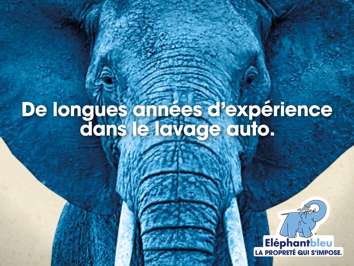 campagne Eléphant Bleu expérience dans le lavage automobile