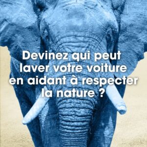 Campagne2022 Devinez Qui Peut Laver Votre Vehicule