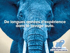 Campagne2022 Experience