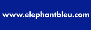 Logo EB Adresse Fond Bleu